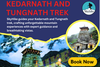 Kedarnath and Tungnath Trek Packages