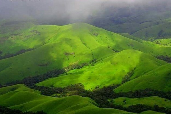 Best Time to Do Kodachadri Trek & How to Reach from Bangalore Best Time to Do Kodachadri Trek & How to Reach from Bangalore