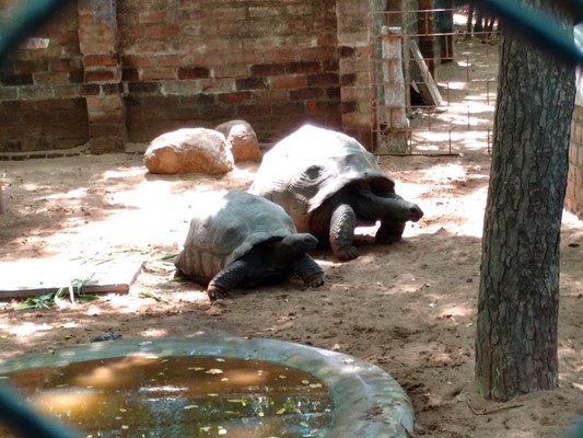 Find Zoos in Puducherry PY