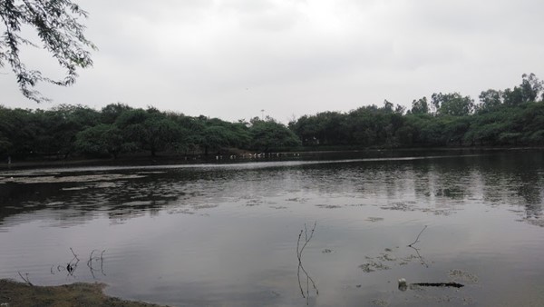 Paschim Vihar District Park