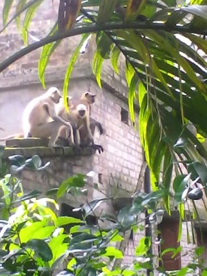 Khounis Park Khounis Park