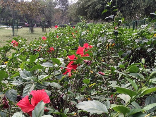 District Park
