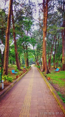 Campal Gardens