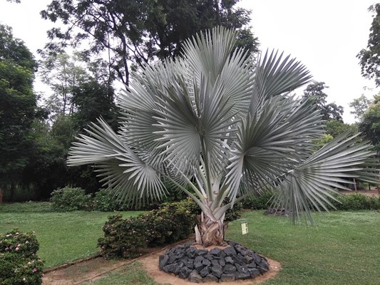 Indroda Nature Park