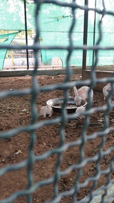 Rasala Nature Park & Wildlife Interpretation Center
