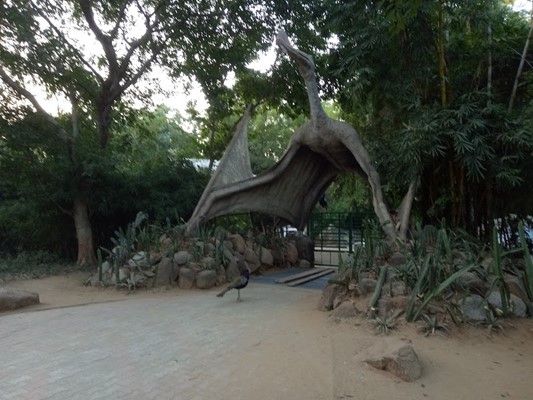 Dinosaur And Fossil Park