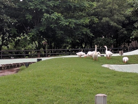 Science City Park