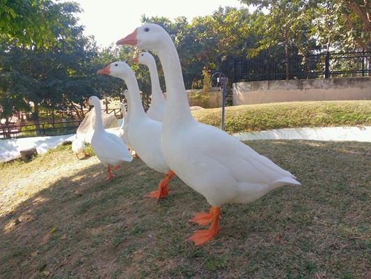 Life Science Park
