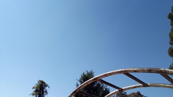 Children's Park
