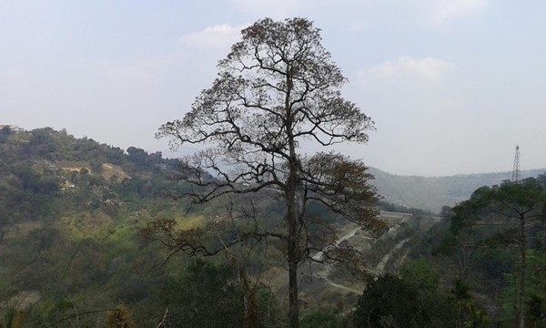 Ntanki National Park