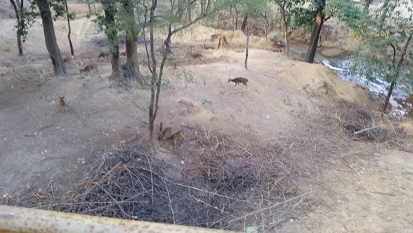 Sanjay Park