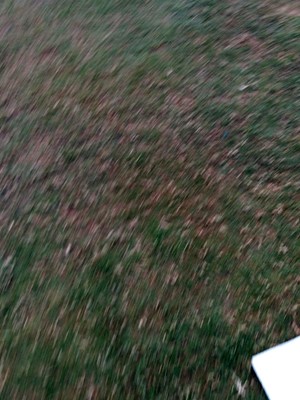 Jogger's Park