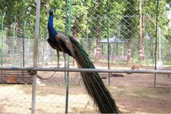 Tamor Pingla Wildlife Sanctuary