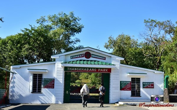 Thangkharang Park, Sohra, Meghalaya - YouTube