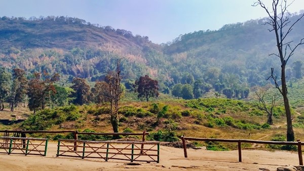 Parambikulam