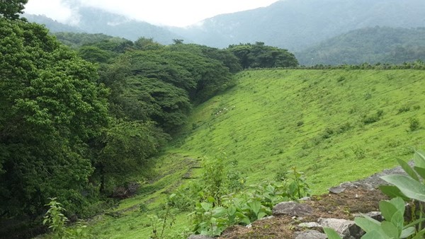 Chimmini Wildlife Sanctuary