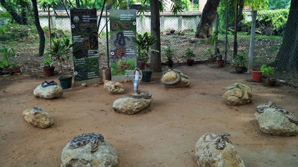 Pondicherry Forest Animal Rehabilitation Centre, Puducherry PY