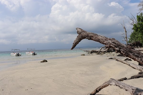 Elephant Beach