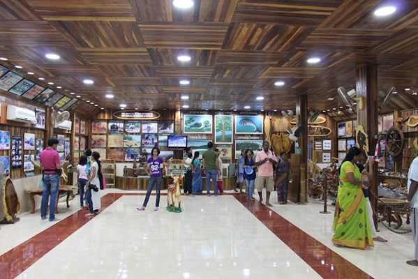 Forest Museum