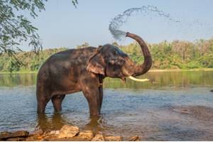 Nature Attractions Nature Attractions