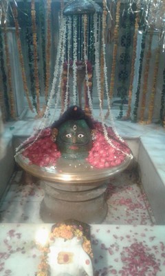 Tasveer - Art Gallery Tasveer - Art Gallery