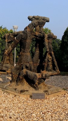 Uttarayana Complex Uttarayana Complex