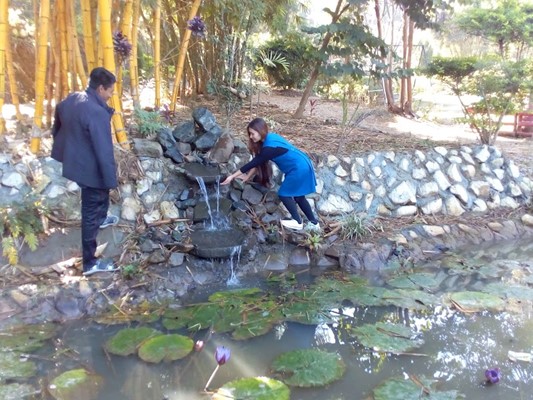 Awunching Park Awunching Park