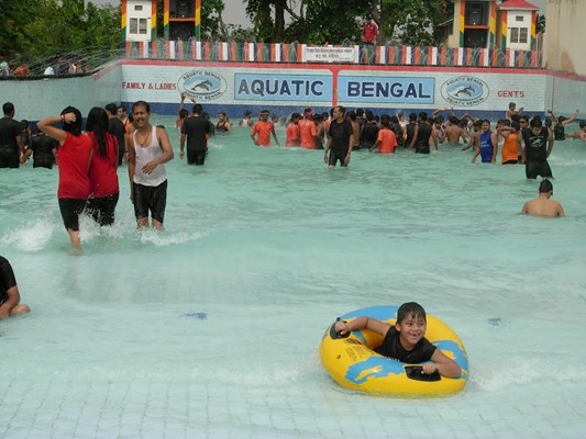 Aquatic Bengal Aquatic Bengal