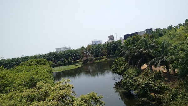 Lake View Park Lake View Park