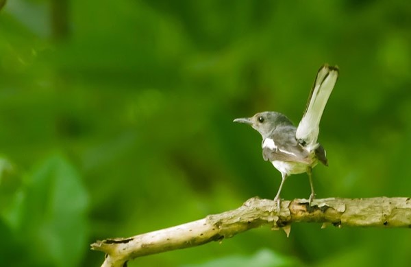 Salt Lake Central Park Salt Lake Central Park