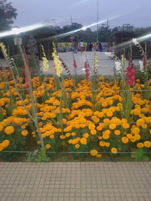 Madhusudan Das Park Madhusudan Das Park