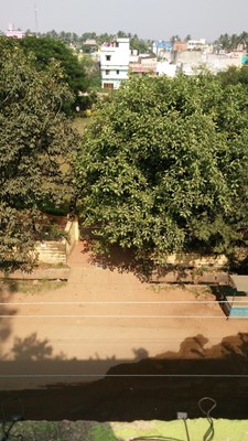 B.D.A. Park B.D.A. Park