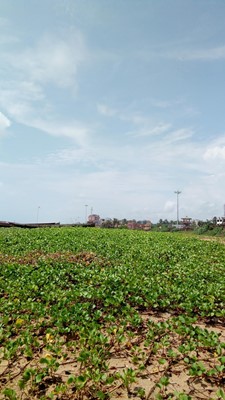 Mahatma Gandhi Park Mahatma Gandhi Park