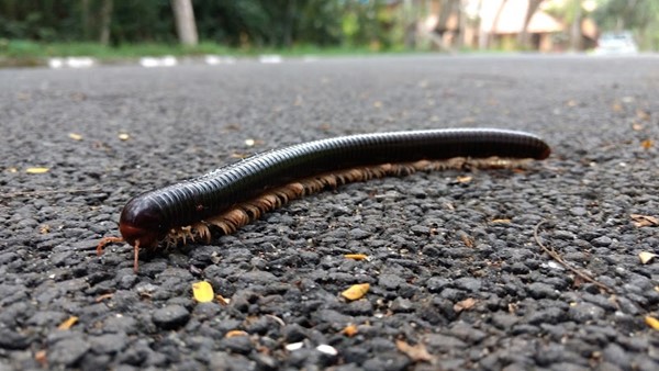 KINFRA Film and Video Park KINFRA Film and Video Park