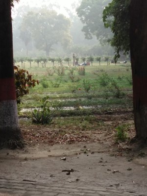 Victoria Park Bhama Shah Park Victoria Park Bhama Shah Park