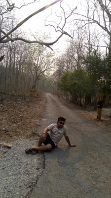 Jim Corbett National Park Tour Jim Corbett National Park Tour