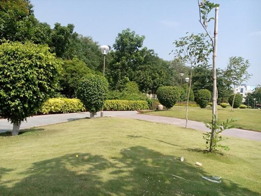 D.G.S Melkote Park D.G.S Melkote Park