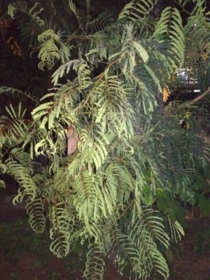 Gandhinagar Park Gandhinagar Park