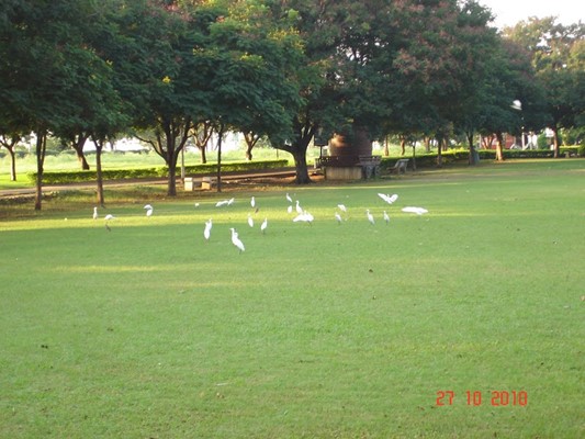 Sanjeevaiah Park Sanjeevaiah Park