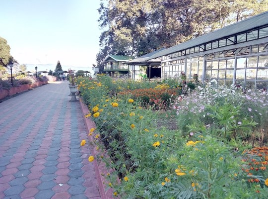 Shrubbery Nightingale Park Shrubbery Nightingale Park