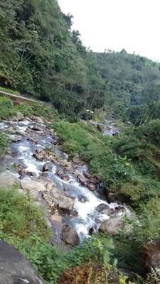 Gangamaya Park, Darjeeling, WB Gangamaya Park, Darjeeling, WB