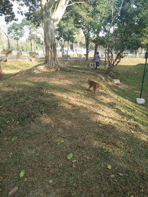 Madhuban park Madhuban park