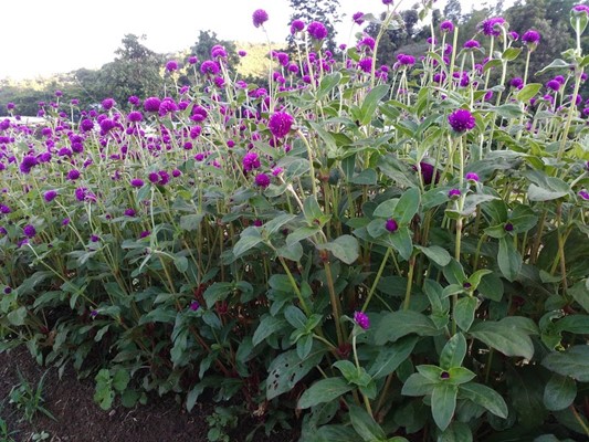 Santhei Natural Park Santhei Natural Park