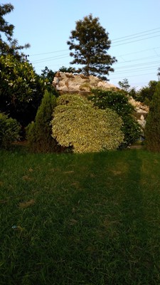 Zonal Park Zonal Park