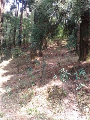 Dowhill Eco Park Dowhill Eco Park