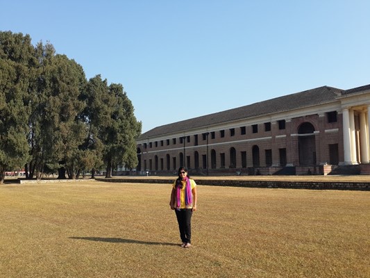 Forest Pathology Museum Forest Pathology Museum