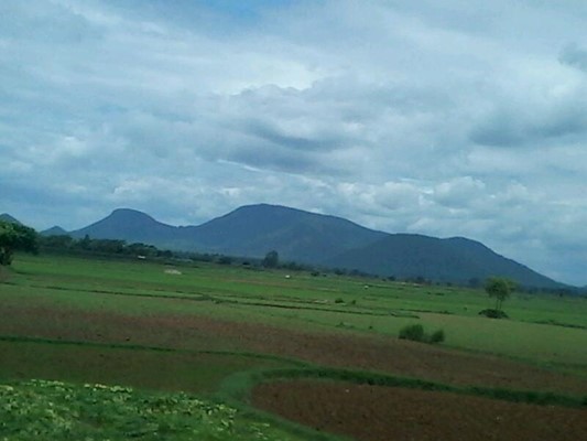 Lalitagiri Museum Lalitagiri Museum