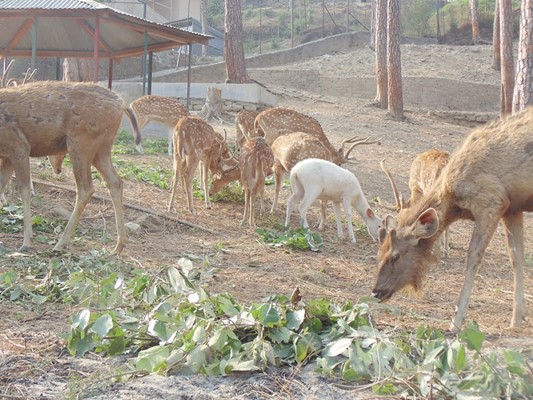 Dr.Alok Kumar Dr.Alok Kumar