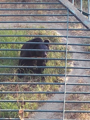 Sumit Nandi Sumit Nandi