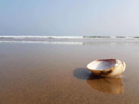 Chandrabhaga Sea Beach Chandrabhaga Sea Beach